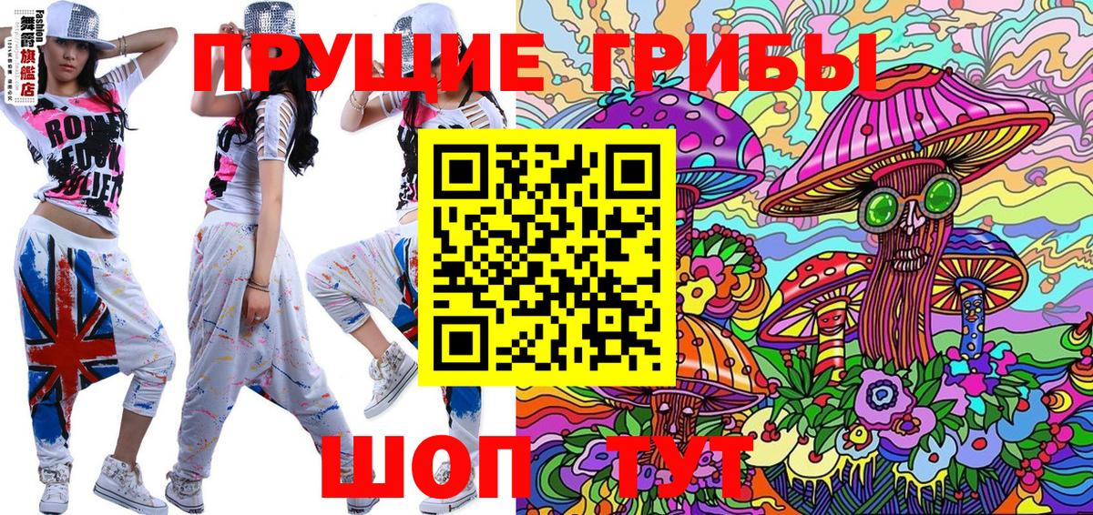 Елабуга  где купить наркоту  Вход с VPN  Псилоцибиновые грибы Psilocybine cubensis 